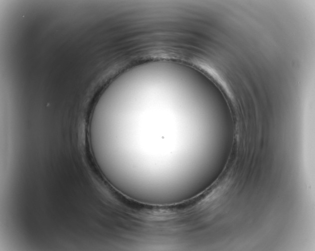 X0000089690445200706210837
