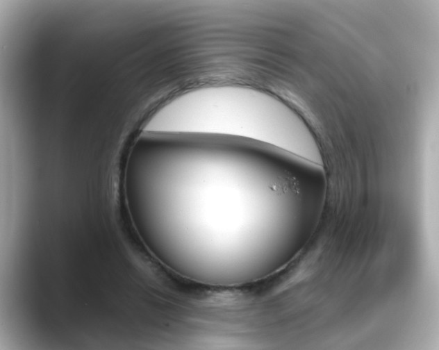 X0000089690446200706210837