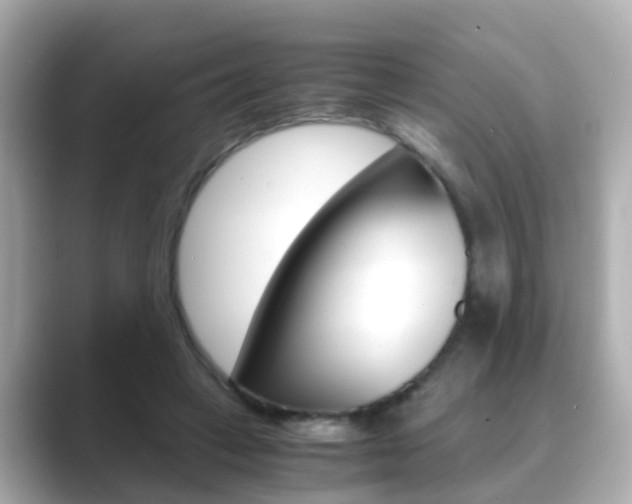 X0000089690449200706210837