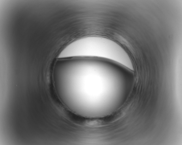 X0000089690452200706210837