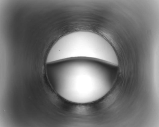 X0000089690453200706210837