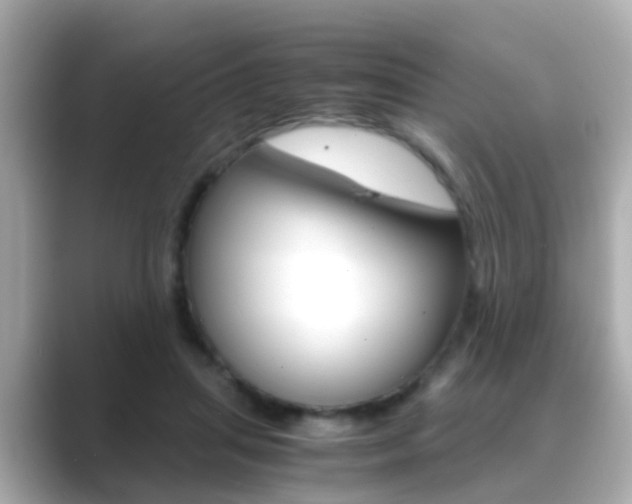 X0000089690455200706210837
