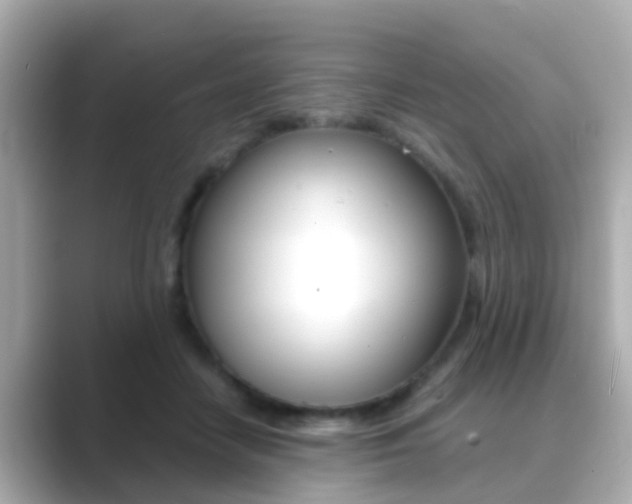 X0000089690458200706210837