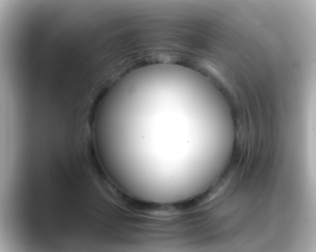 X0000089690459200706210837