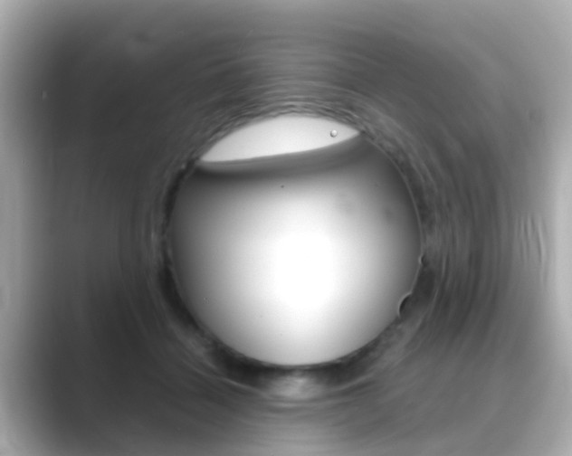 X0000089690460200706210837
