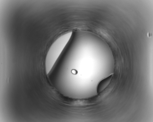 X0000089690461200706210837
