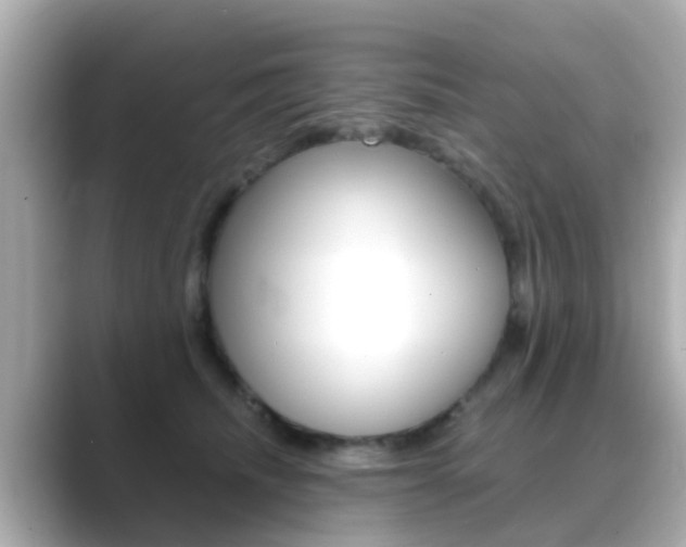 X0000089690468200706210837