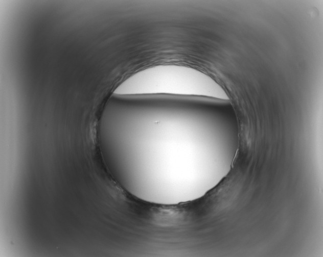 X0000089690475200706210838