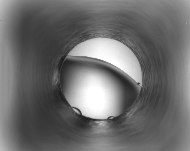 X0000089690478200706210838