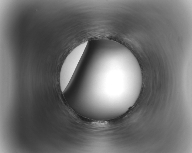 X0000089690480200706210838