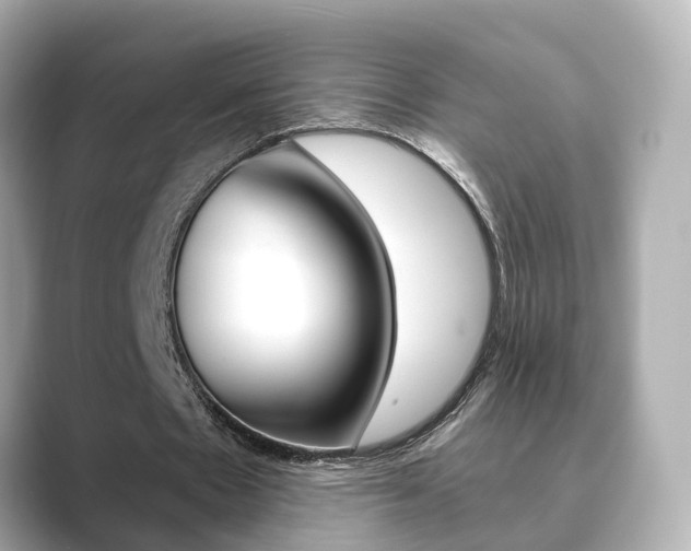 X0000089690481200706210837