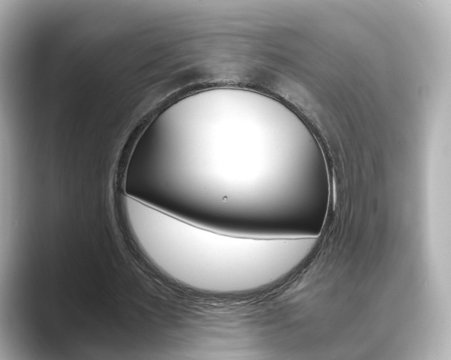 X0000089690483200706210837