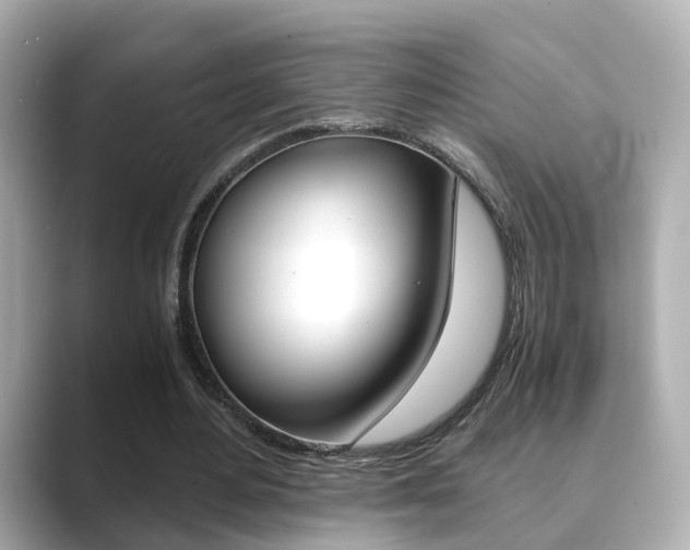 X0000089690484200706210837