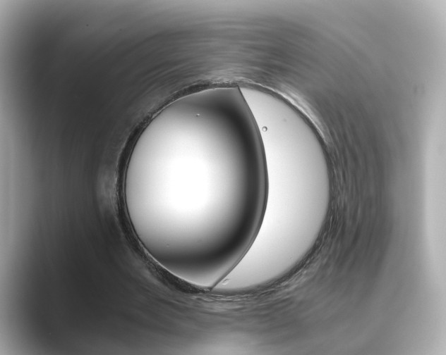 X0000089690485200706210837