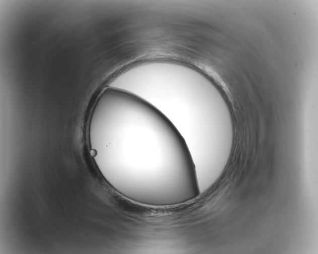 X0000089690487200706210837
