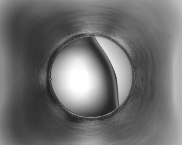 X0000089690488200706210837