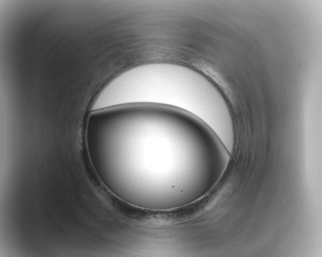 X0000089690489200706210837