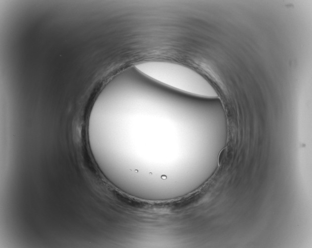 X0000089690491200706210837