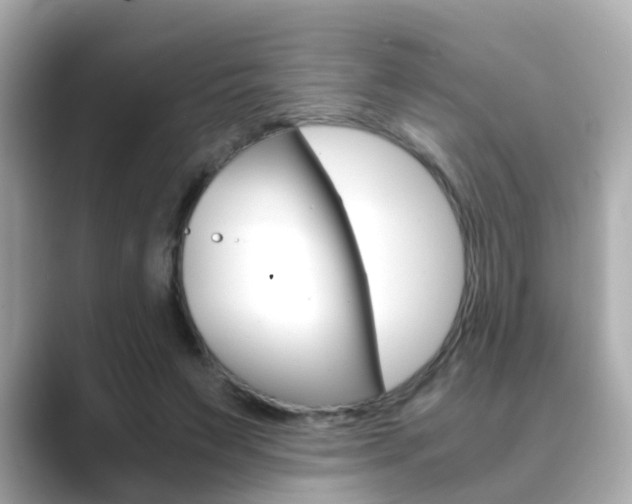 X0000089690495200706210837