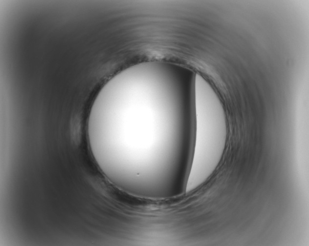 X0000089690496200706210837