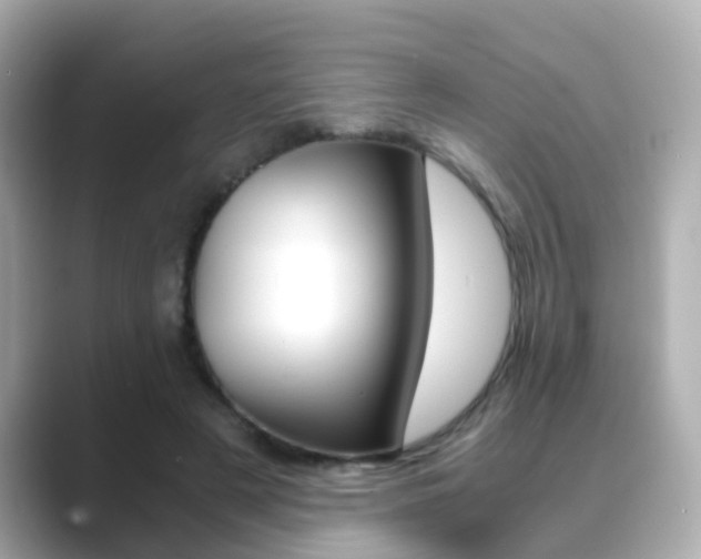 X0000089690497200706210837