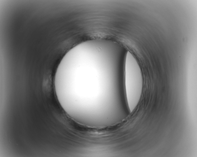 X0000089690498200706210837