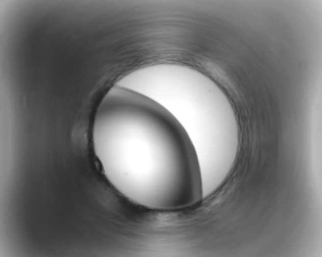 X0000089690501200706210837