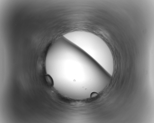 X0000089690503200706210837