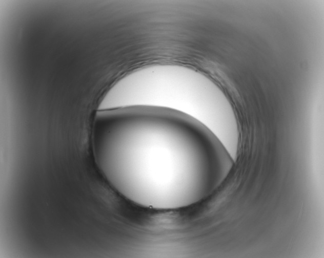 X0000089690505200706210837