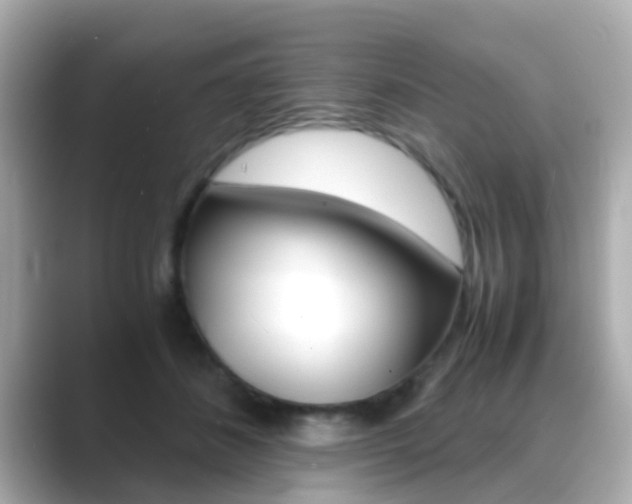 X0000089690508200706210837