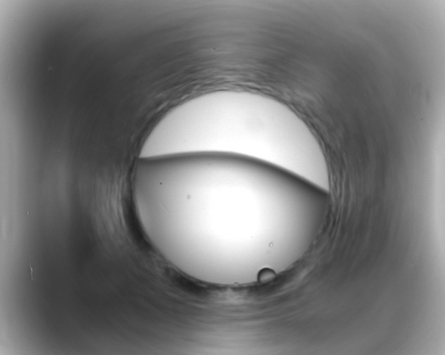 X0000089690511200706210837