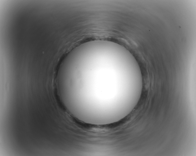 X0000089690515200706210837