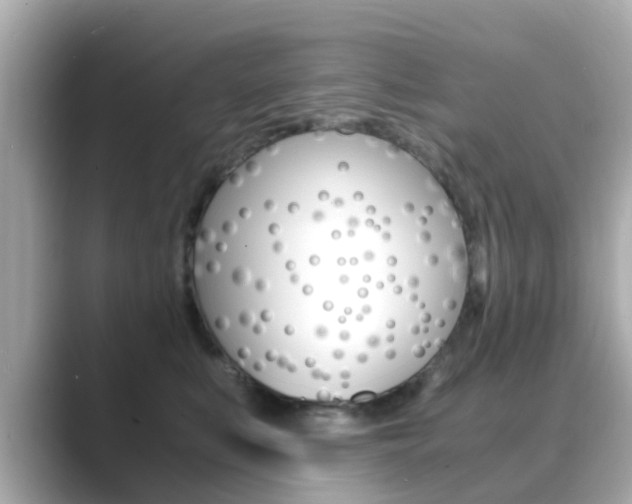 X0000089690519200706210836