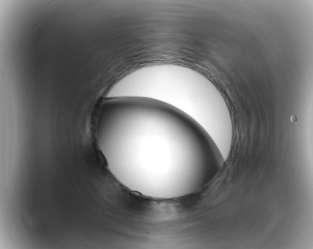 X0000089690520200706210836