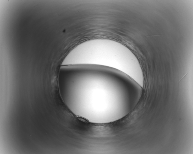 X0000089690521200706210836