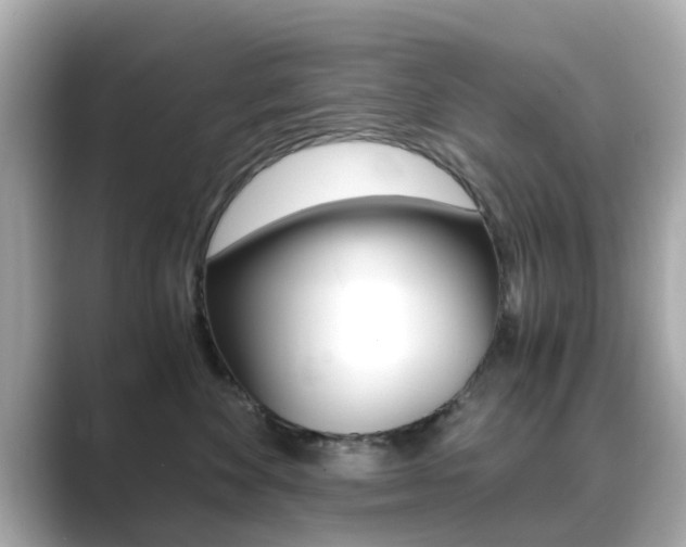 X0000089690524200706210836