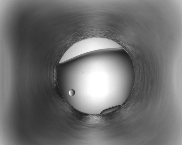 X0000089690528200706210836