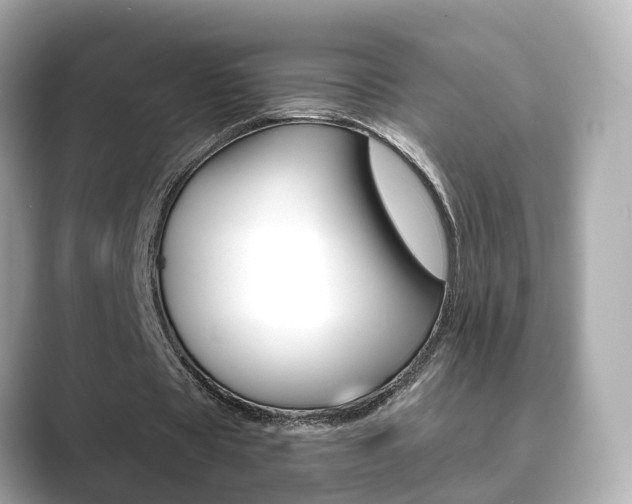 X0000089690529200706210836