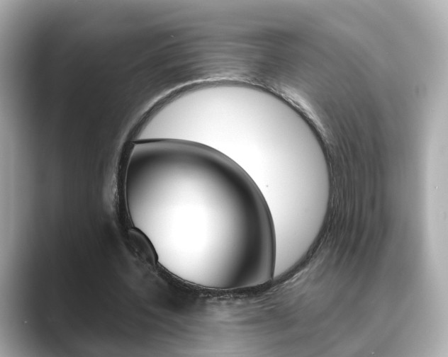 X0000089690532200706210836