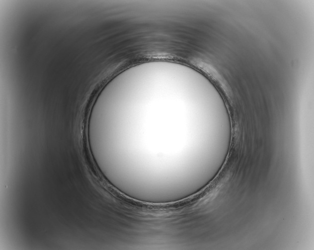 X0000089690533200706210836