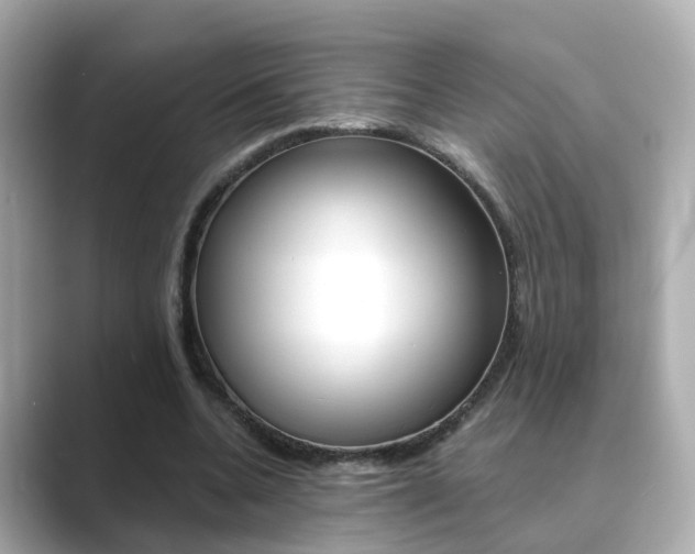 X0000089690536200706210836