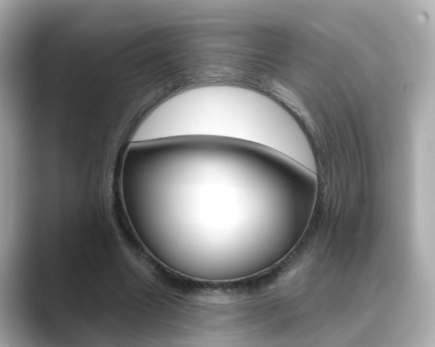 X0000089690538200706210836