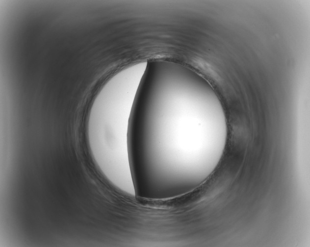 X0000089690539200706210836