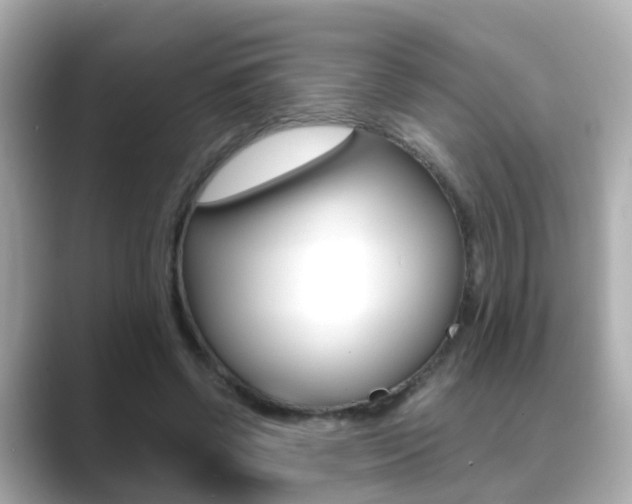 X0000089690542200706210836