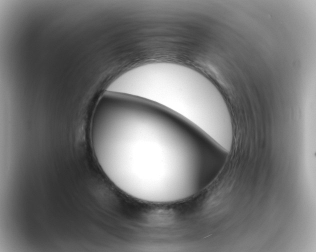 X0000089690543200706210836