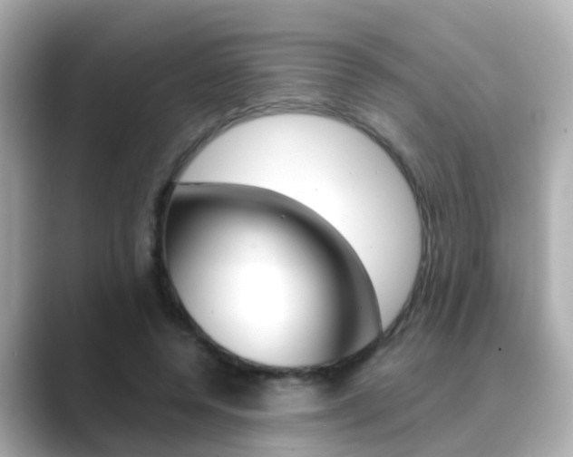 X0000089690544200706210836