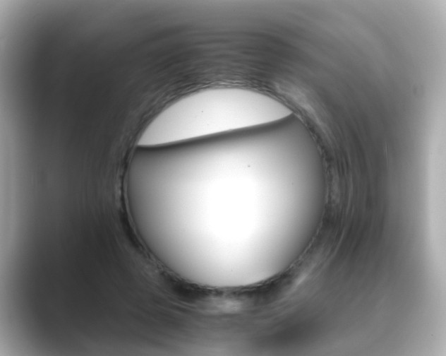 X0000089690545200706210836