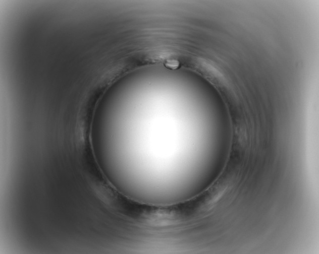 X0000089690546200706210836