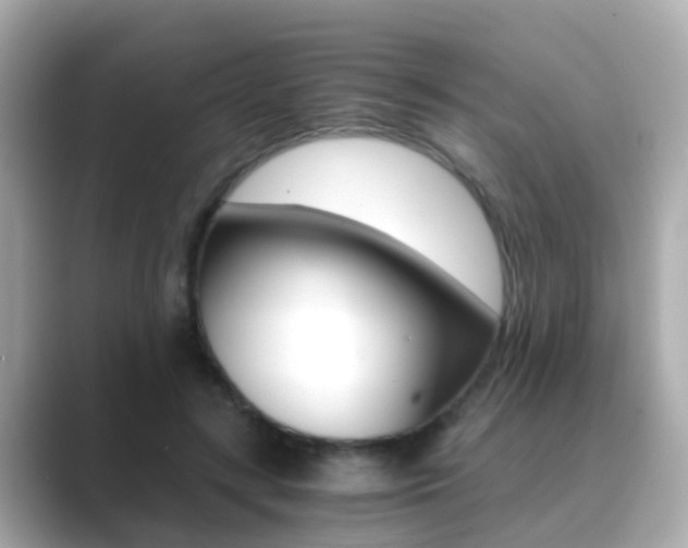 X0000089690547200706210836