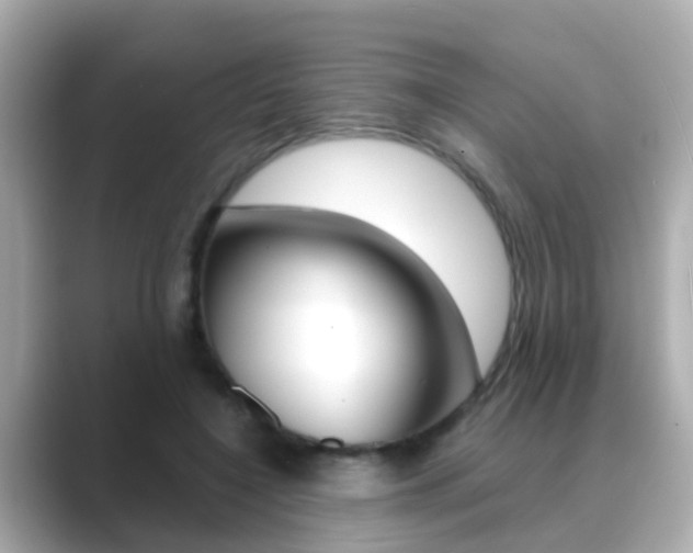 X0000089690548200706210836